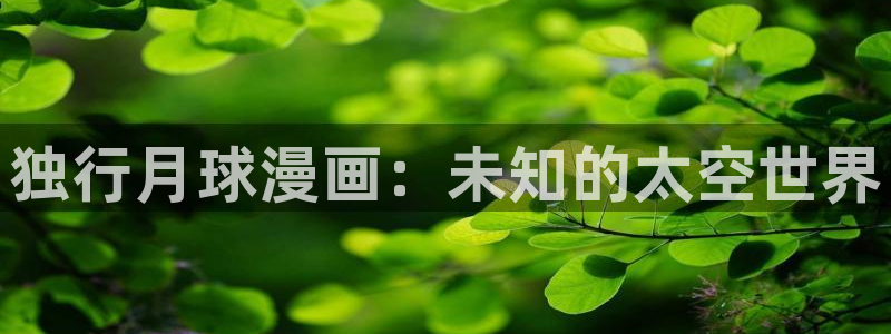 韩漫免费入口：独行月球漫画：未知的太空世界