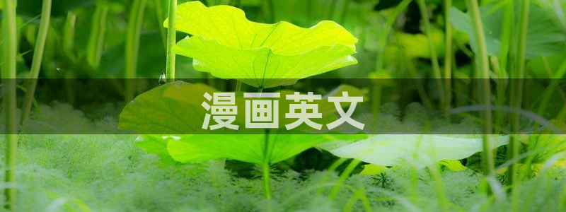 在哪能免费看韩漫：漫画英文