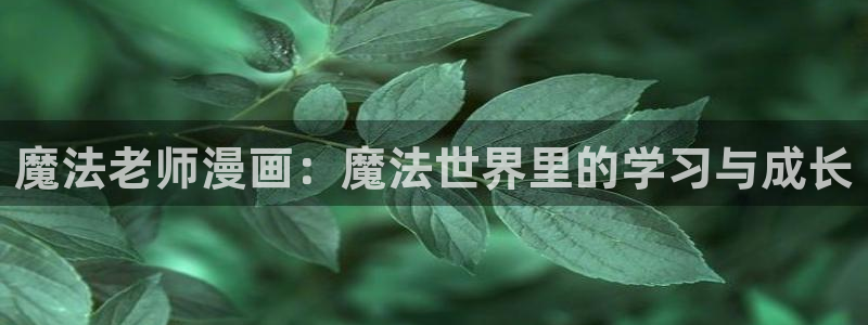 嘿咻漫画好看的韩漫在线看：魔法老师漫画：魔法世界里的学习与成长