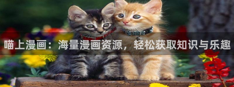 韩漫漫画平台：喵上漫画：海量漫画资源，轻松获取知识与乐趣