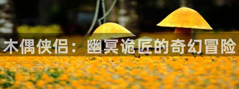 漫画之家韩漫在线阅读：木偶侠侣：幽冥诡匠的奇幻冒险